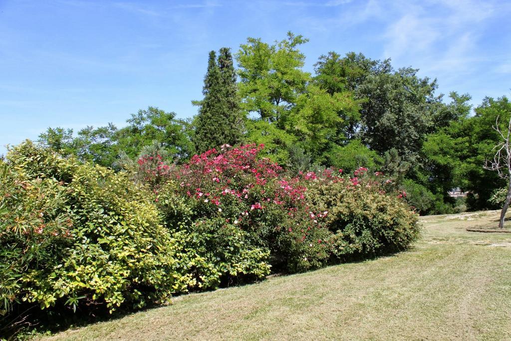 Villa Melagrana Fano Room photo